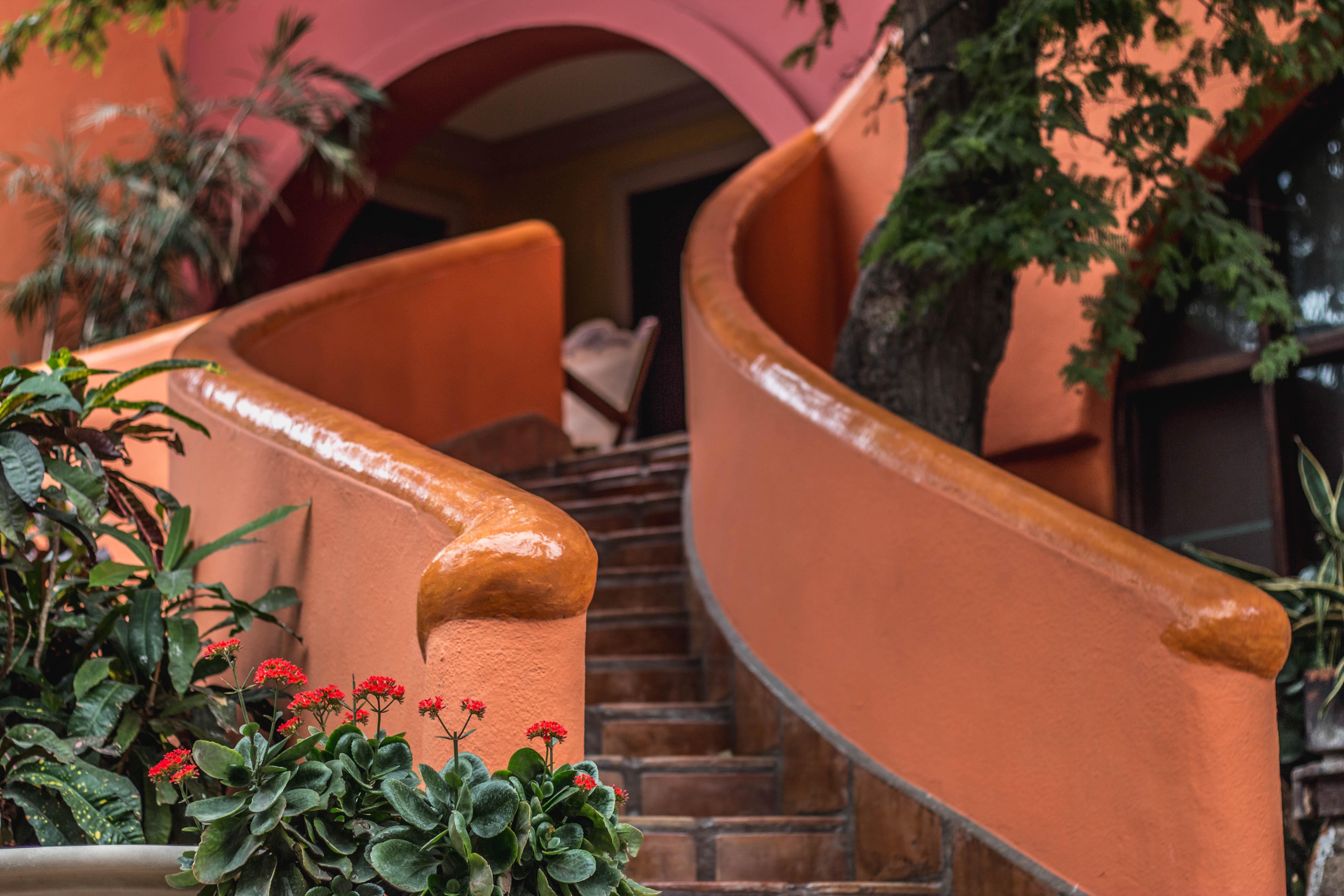 Collection O Casa Bella Hotel Boutique, Кабо-Сан-Лукас Екстер'єр фото